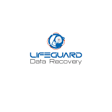 LifeGuard Data Recovery